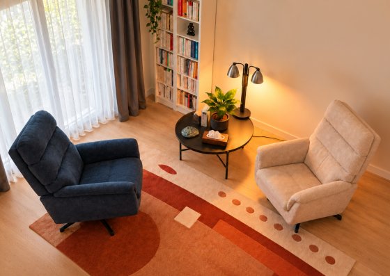 Découvrir le cabinet de Laurence ANDRÉ à Saint-Maur-des-Fossés : deux fauteuils dans un espace lumineux